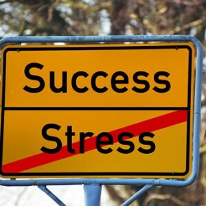 stress hoogbegaafd succes