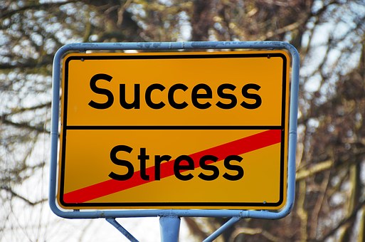 stress hoogbegaafd succes