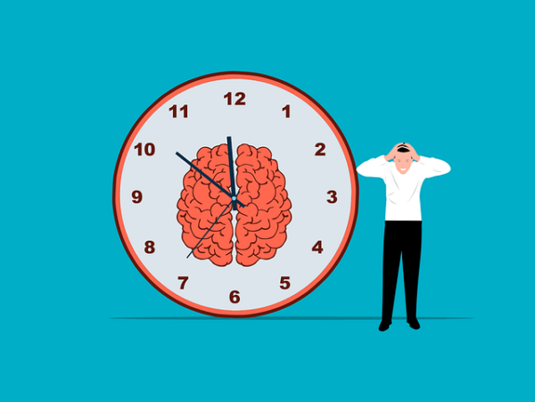 Werk en executieve functies hoogbegaafdheid