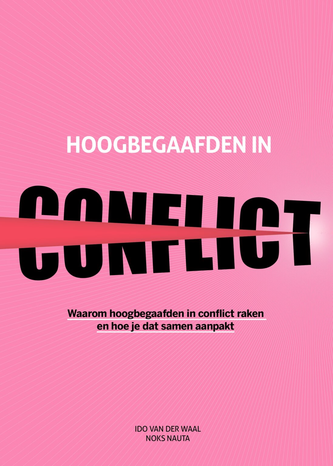 Recensie hoogbegaafden in conflict Hoogbegaafdexpert