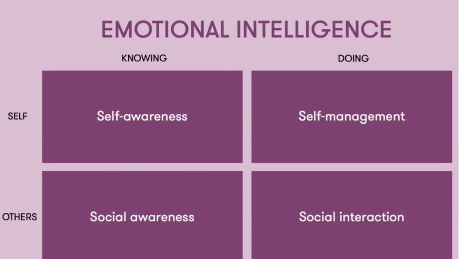 emotionele intelligentie