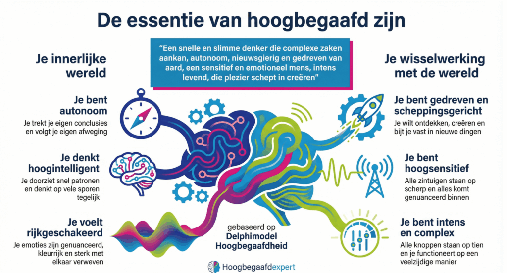kenmerken van hoogbegaafdheid