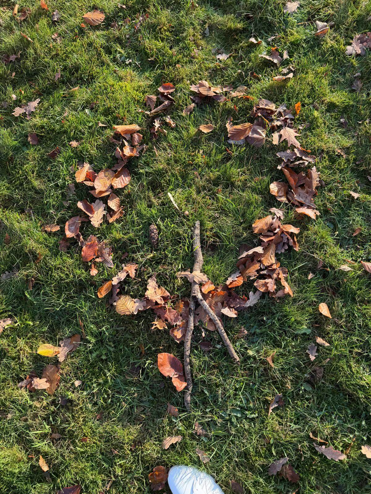 ACT en buitenpsychologie kompas